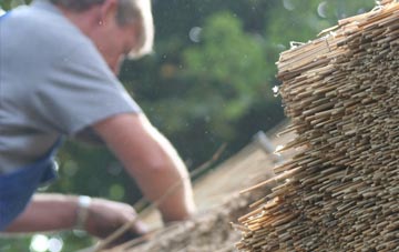 professional Shopford thatchers